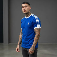 AZUL REY