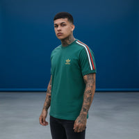 VERDE TRICOLOR